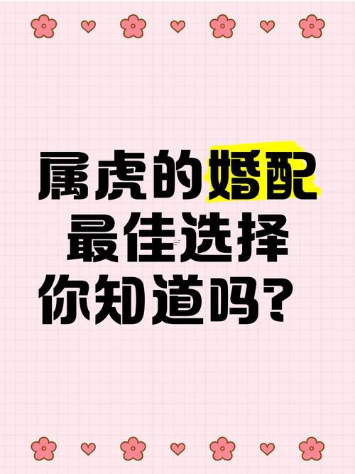 屬虎同屬虎