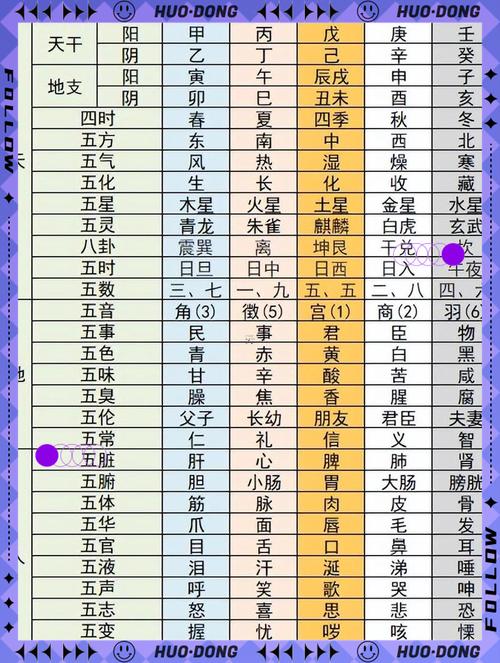 2025年啥年