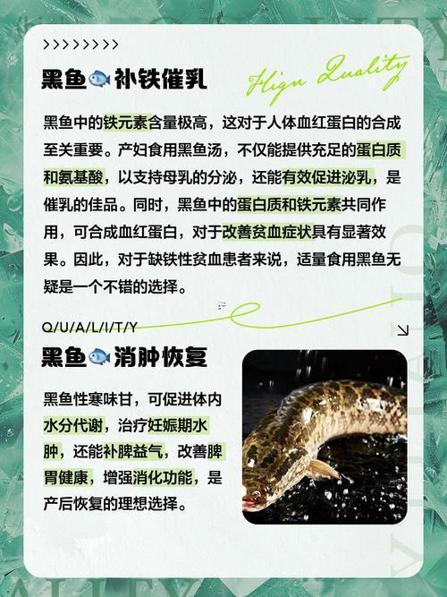 夢(mèng)到黑魚(yú)
