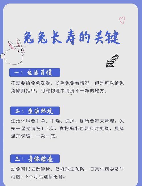 兔子有靈性嗎