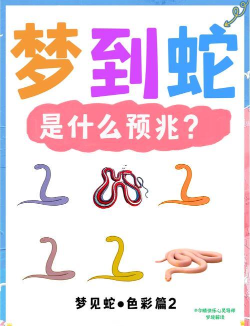 夢(mèng)見(jiàn)大黑蛇