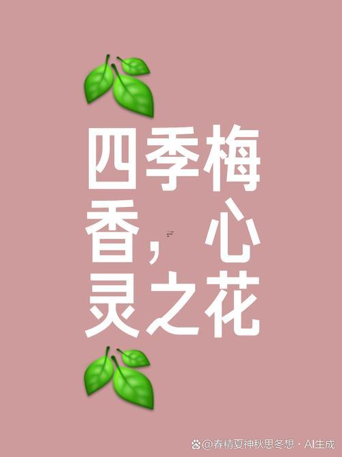 梅開(kāi)二度解簽