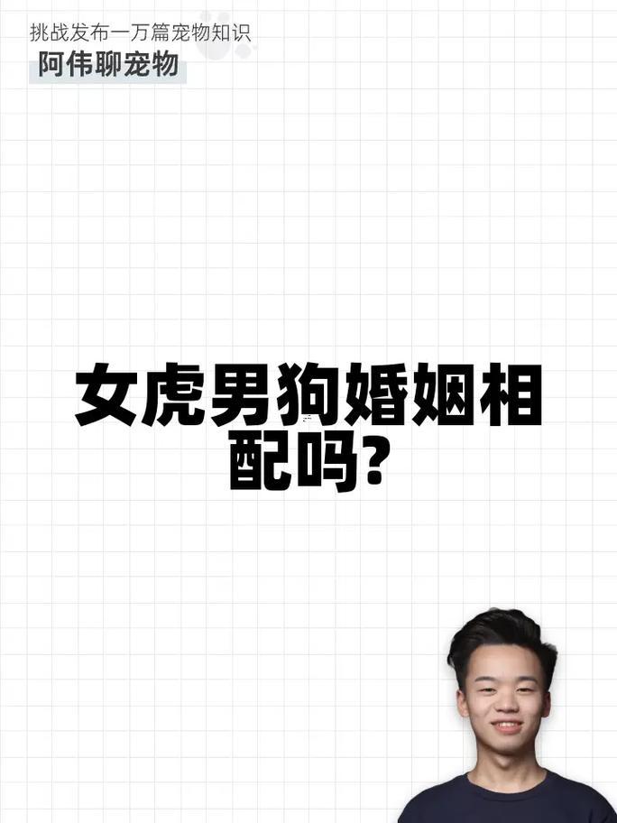 狗跟著虎屬相配嗎