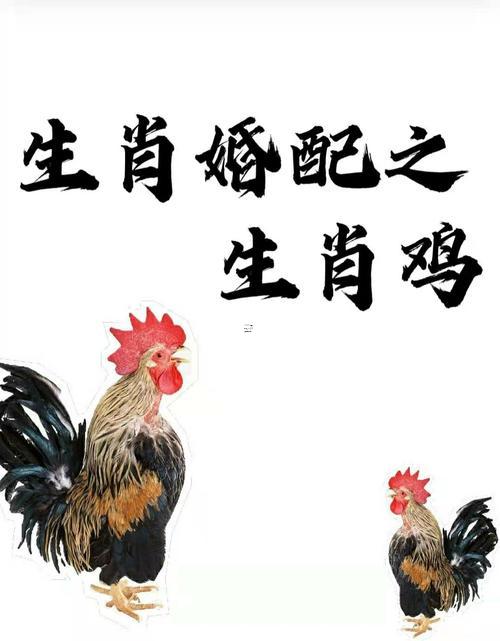 屬鼠人的前世與今生