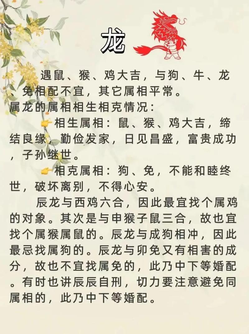 鼠同何事屬相最配
