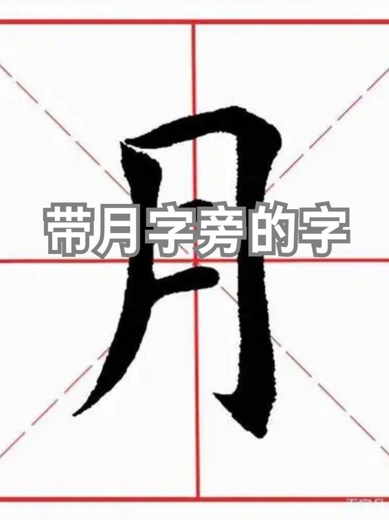 帶月字的字