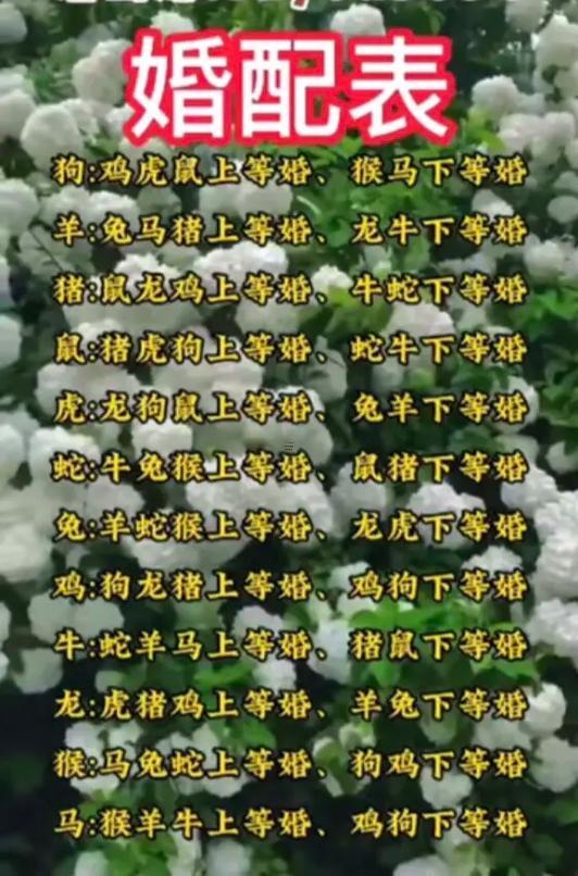 男馬女蛇婚姻行不行相配