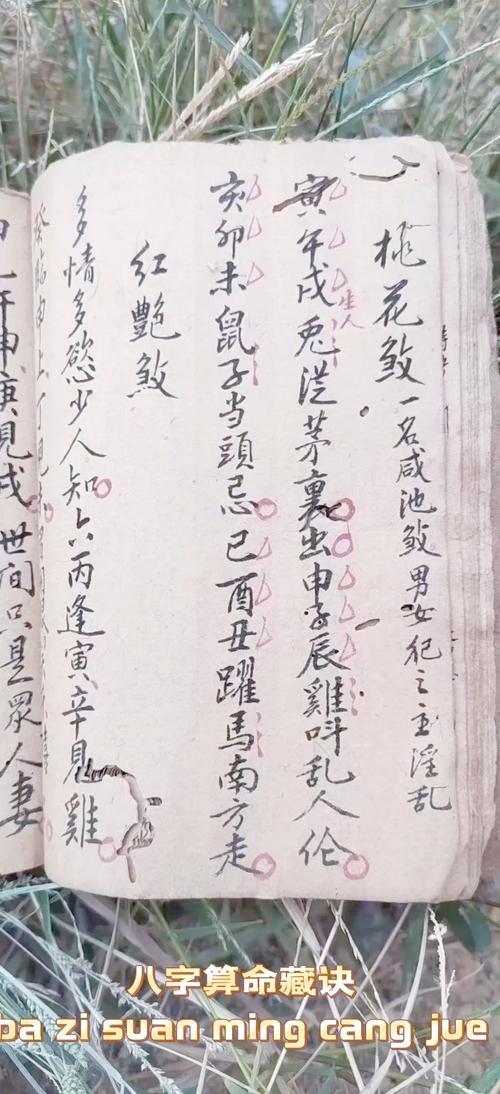 八字看命