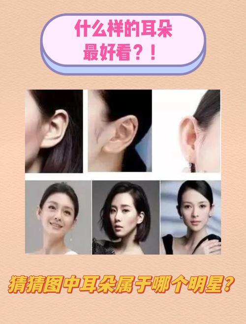 耳朵高于眼睛的人