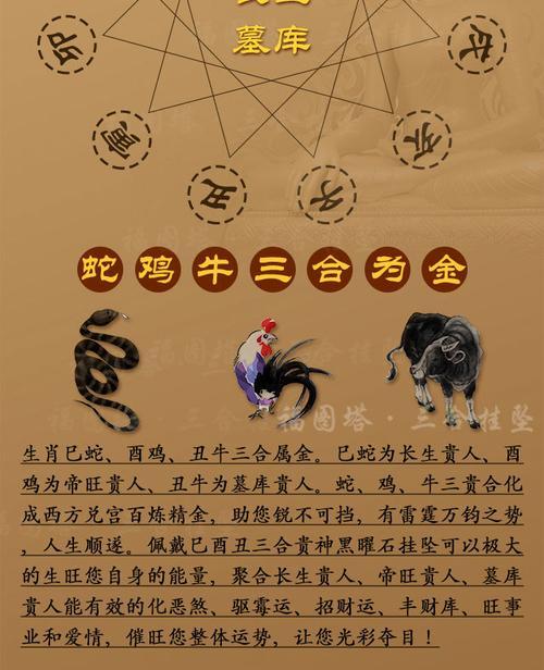 巳代表啥意思