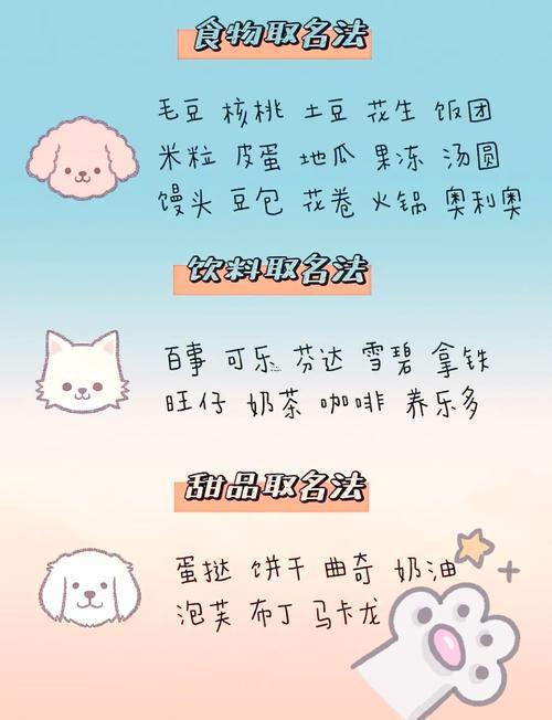 小狗取名