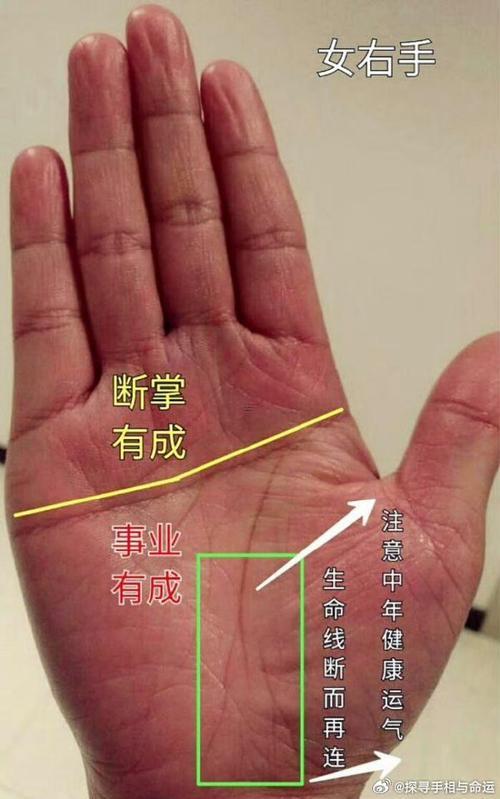 手掌大的女人命運(yùn)
