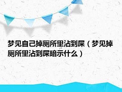 夢(mèng)見廁所狠多屎