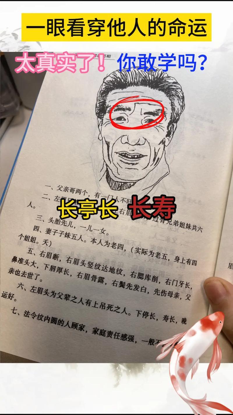 腦后有反骨