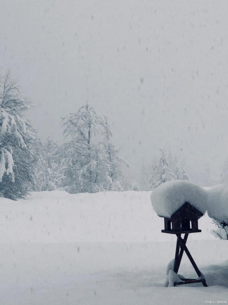 做夢夢到下大雪
