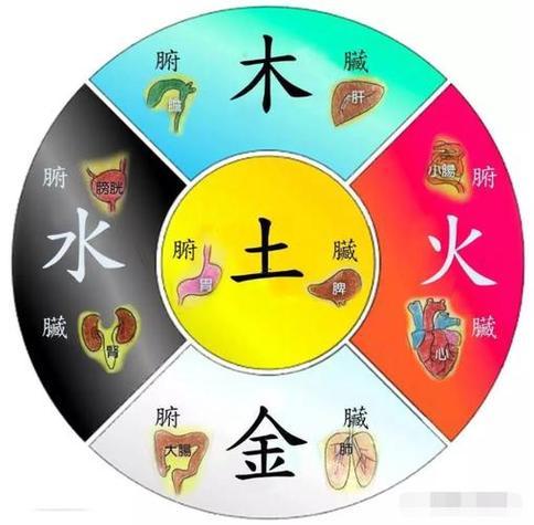 金木水火土生肖