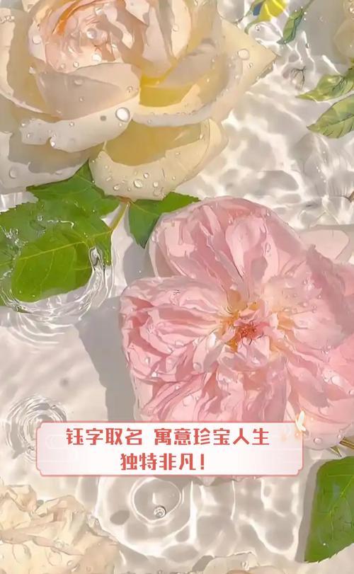 玨字五行屬何事
