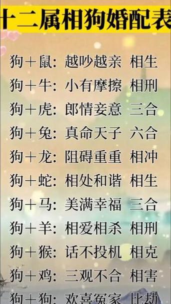 94年屬狗男與什么東西屬相女婚配最佳