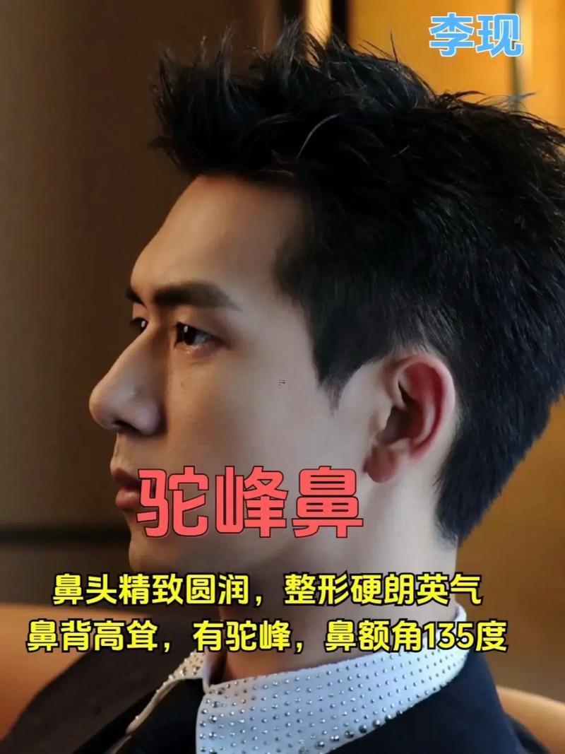 鼻子大的男人