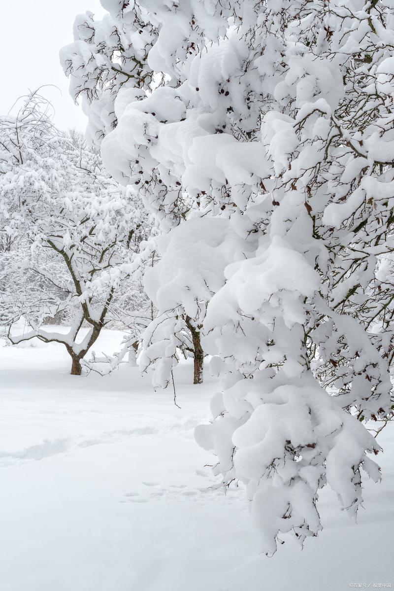 雪是何事