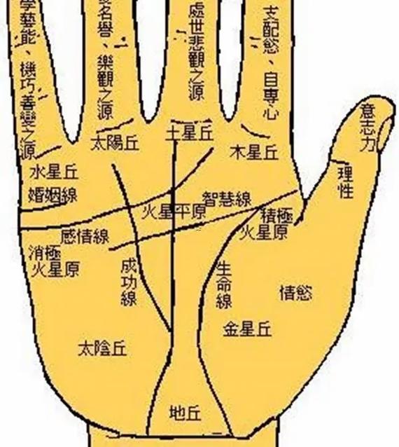 手掌算命