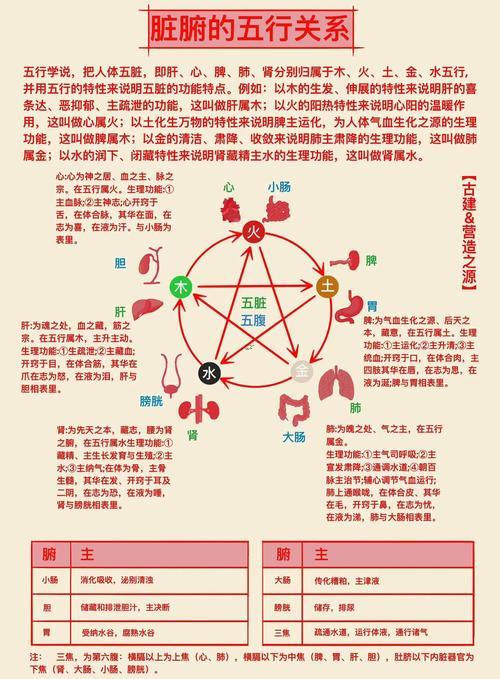 為五行屬啥東西