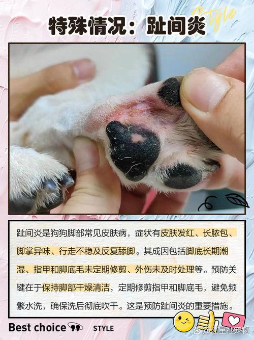 夢(mèng)見小狗咬我