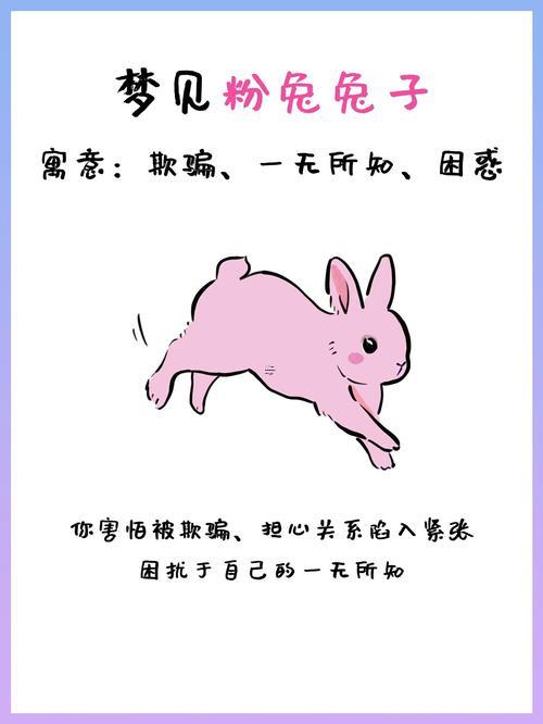 夢見兔子死了