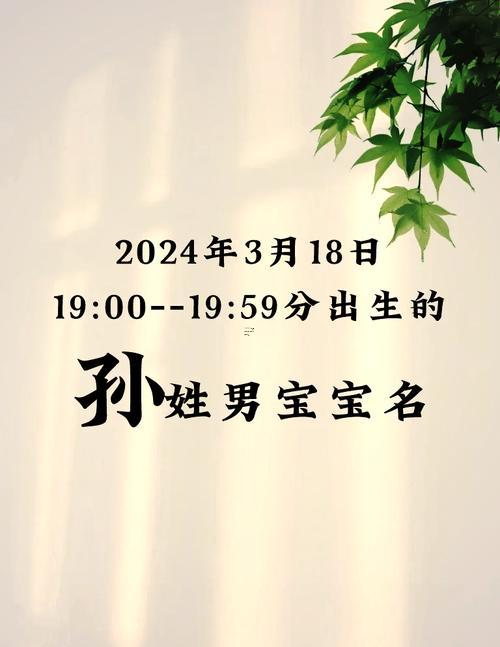 孫姓男孩名字大全