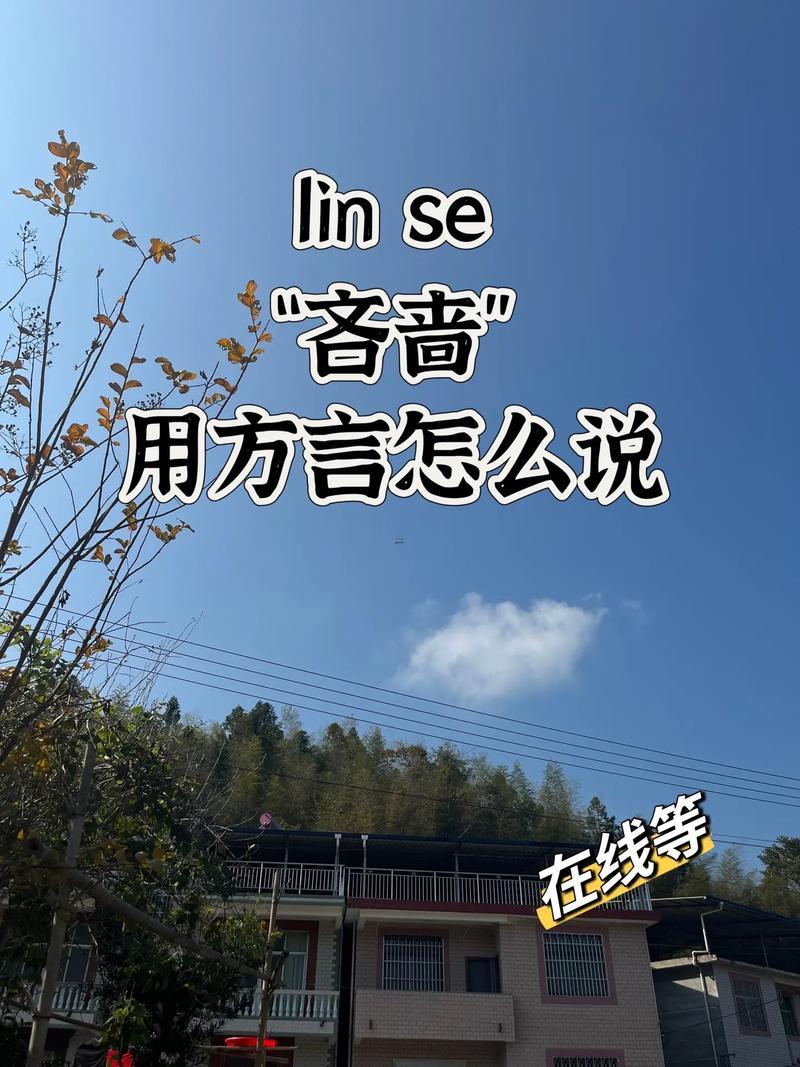 吝嗇啥意思
