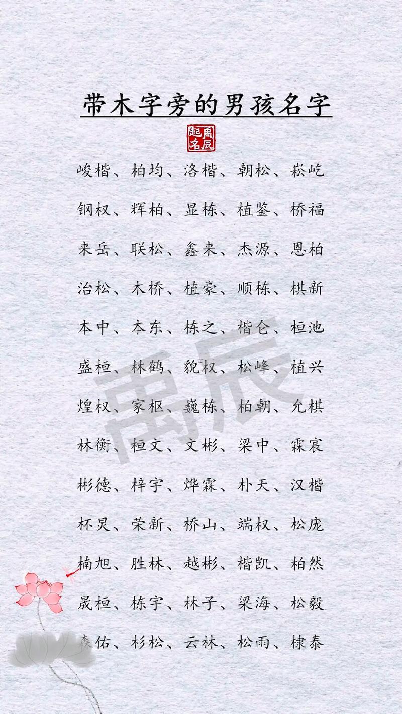 金木水火土的名字