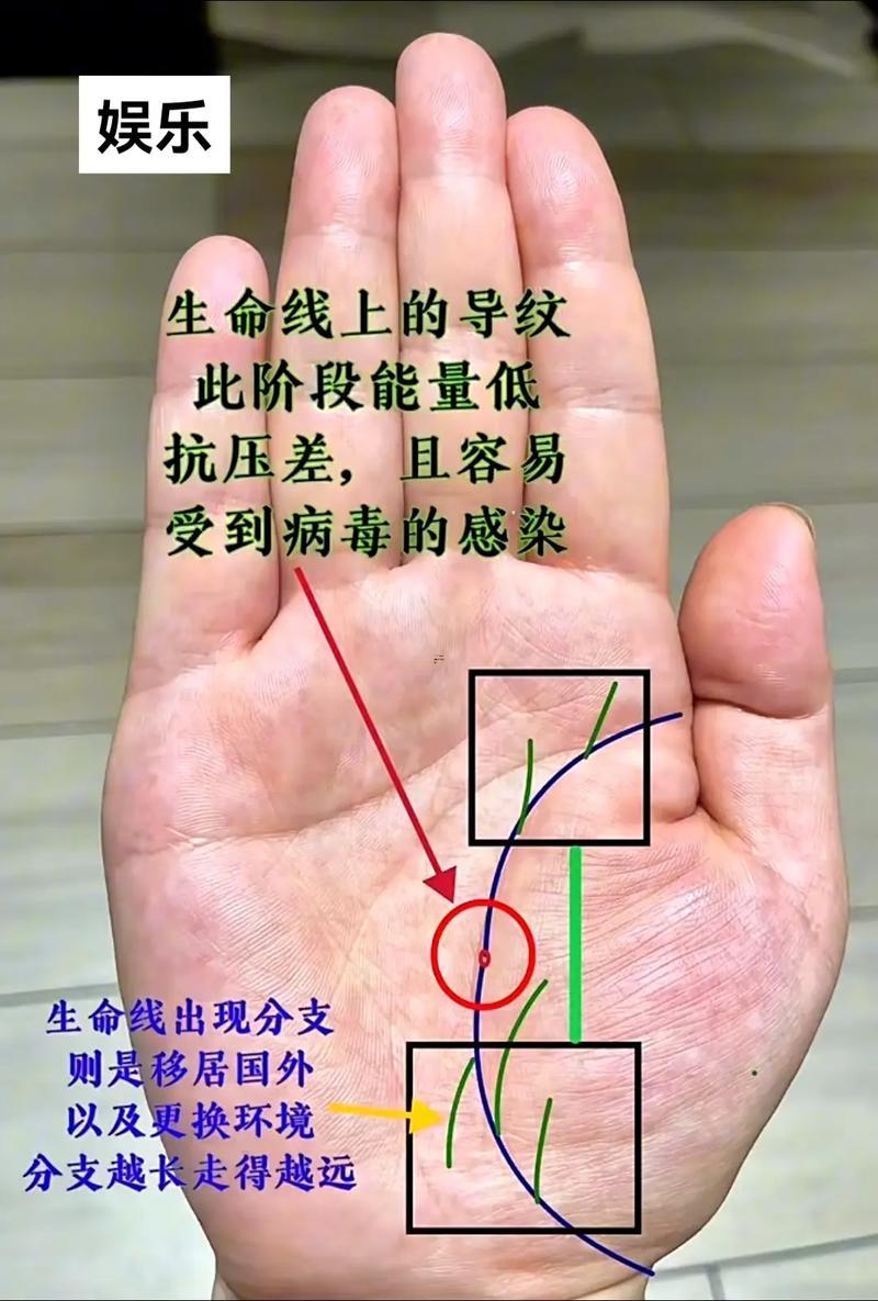 女人手相圖解大全
