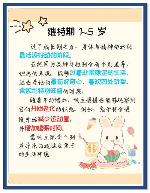 屬兔是幾幾年