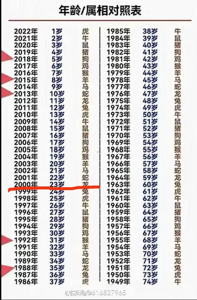 1994年屬啥得
