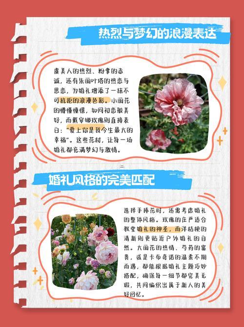 適合做人名的花名