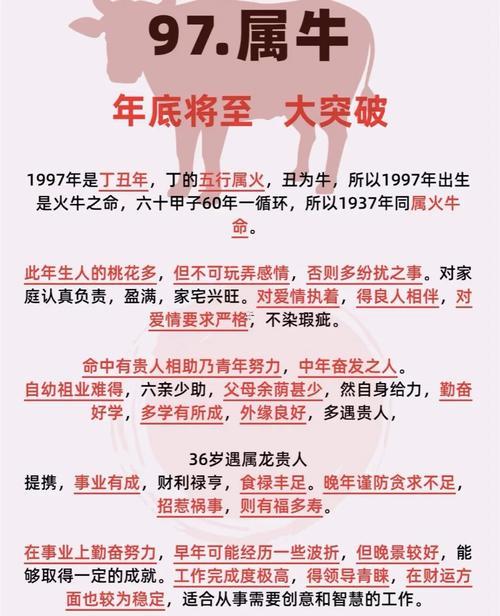 本命年水逆