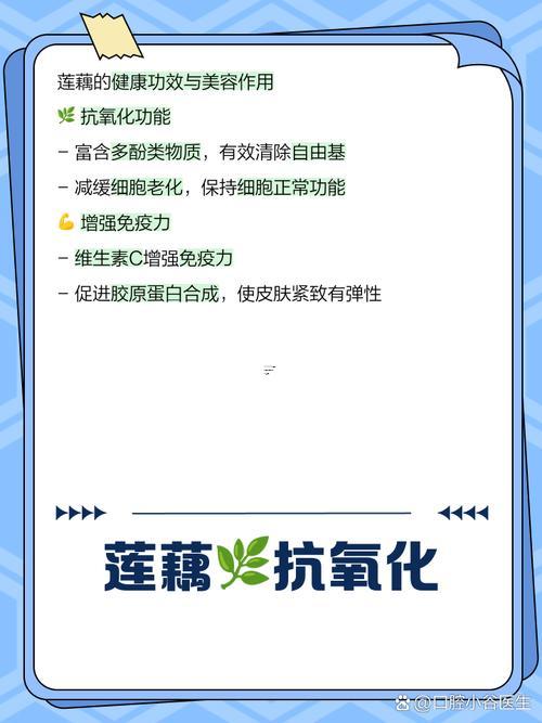 夢(mèng)見(jiàn)蓮藕