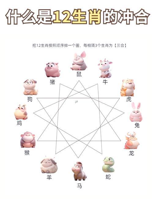 豬鼠屬相相配嗎