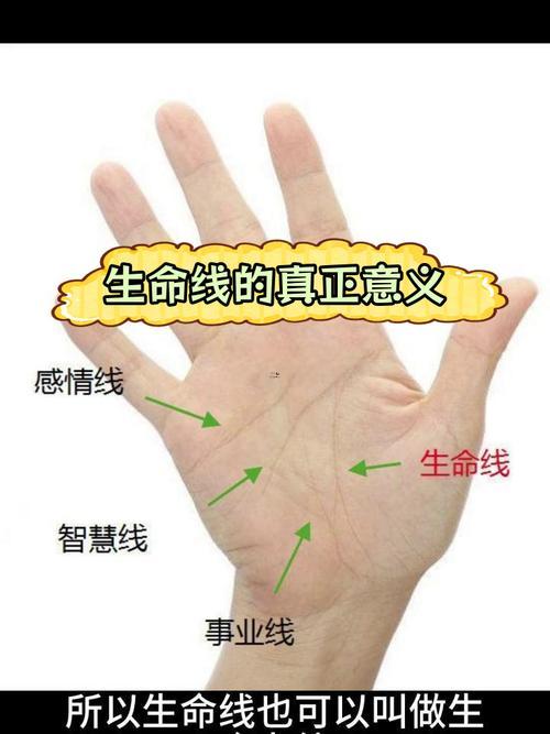 怎么看生命線