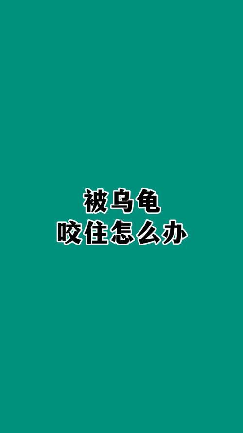 夢到烏龜咬自己