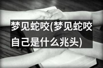 夢(mèng)到被毒蛇咬了