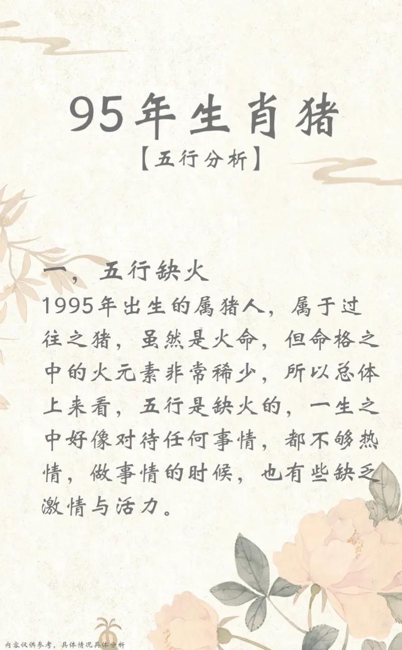 九五年屬什么