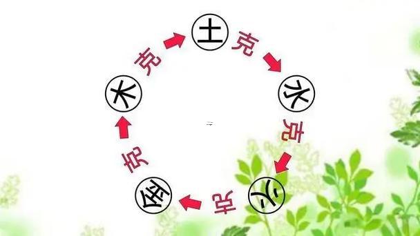 金克木嗎