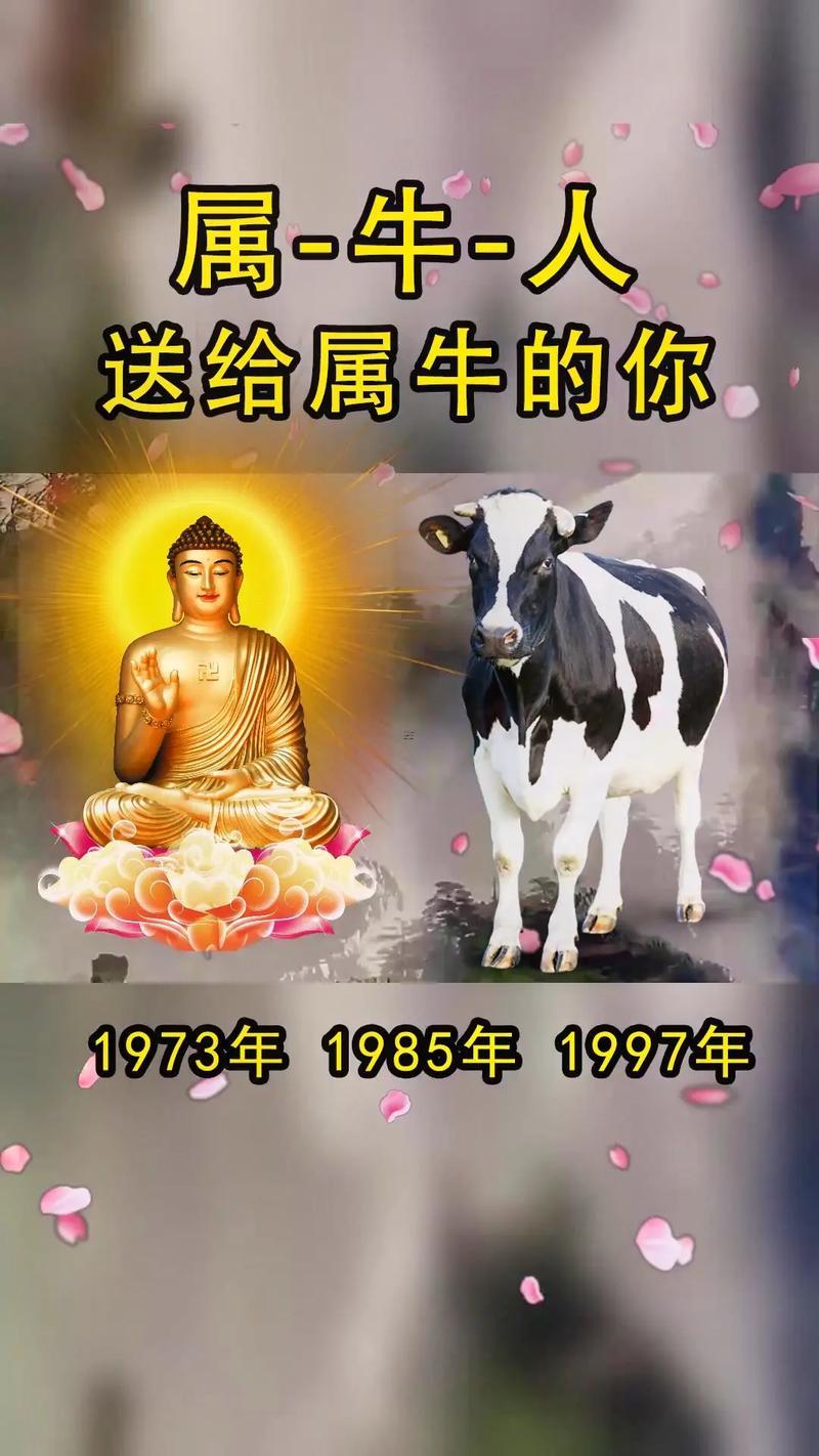 屬牛的性格和脾氣