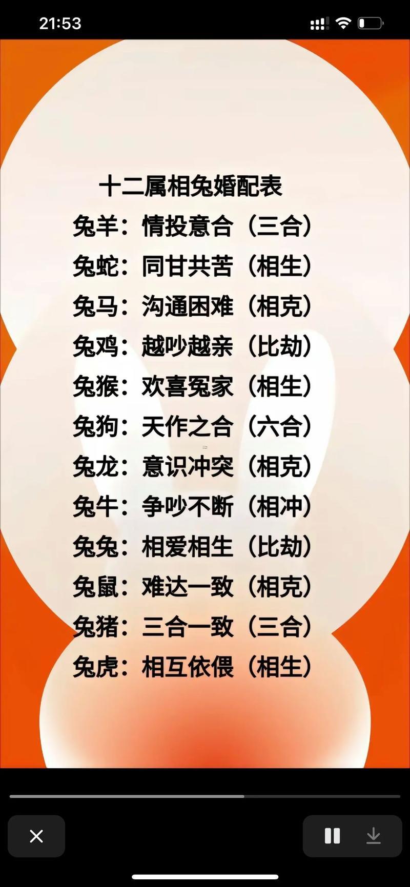 羊跟豬合不合