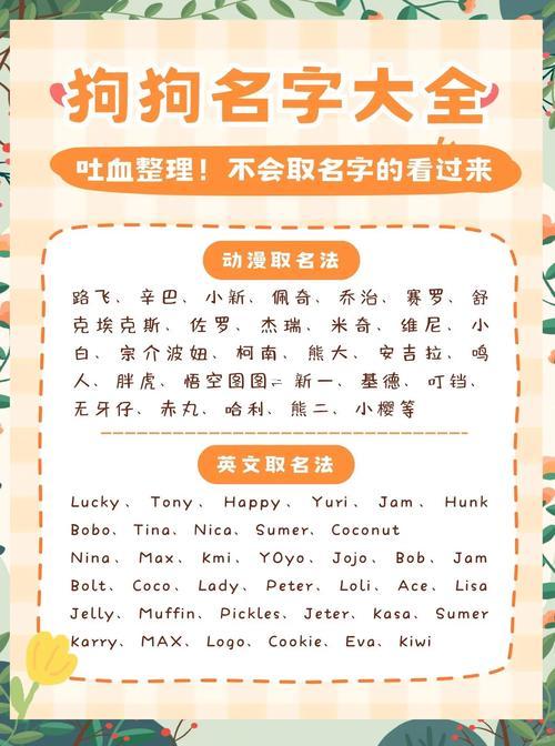 寵物店起名