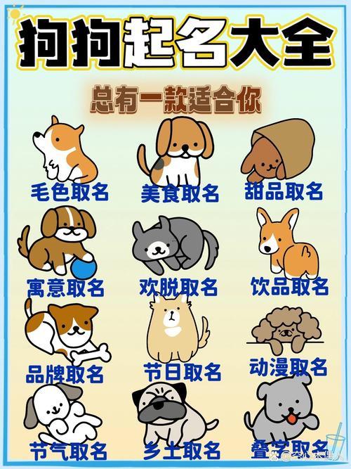 小狗起名