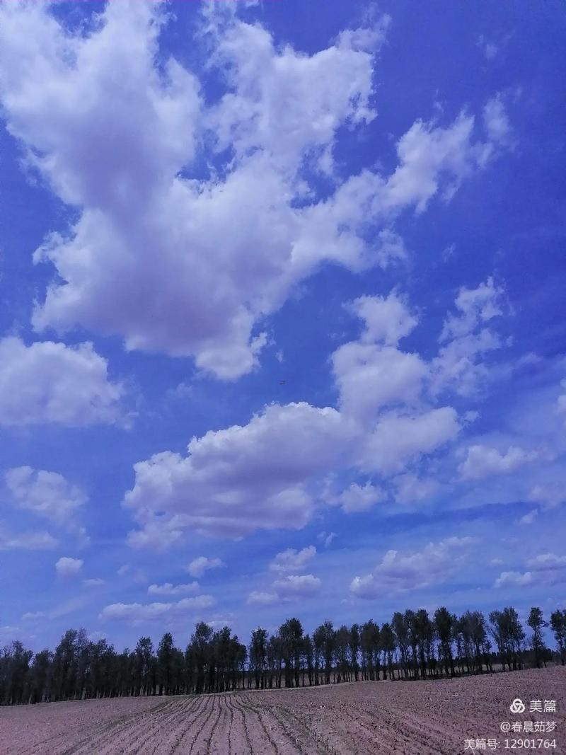 美麗得天空
