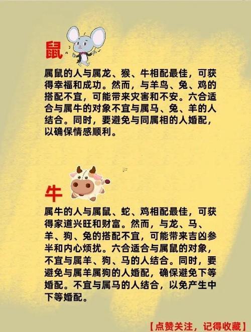 雞和龍屬相合不合