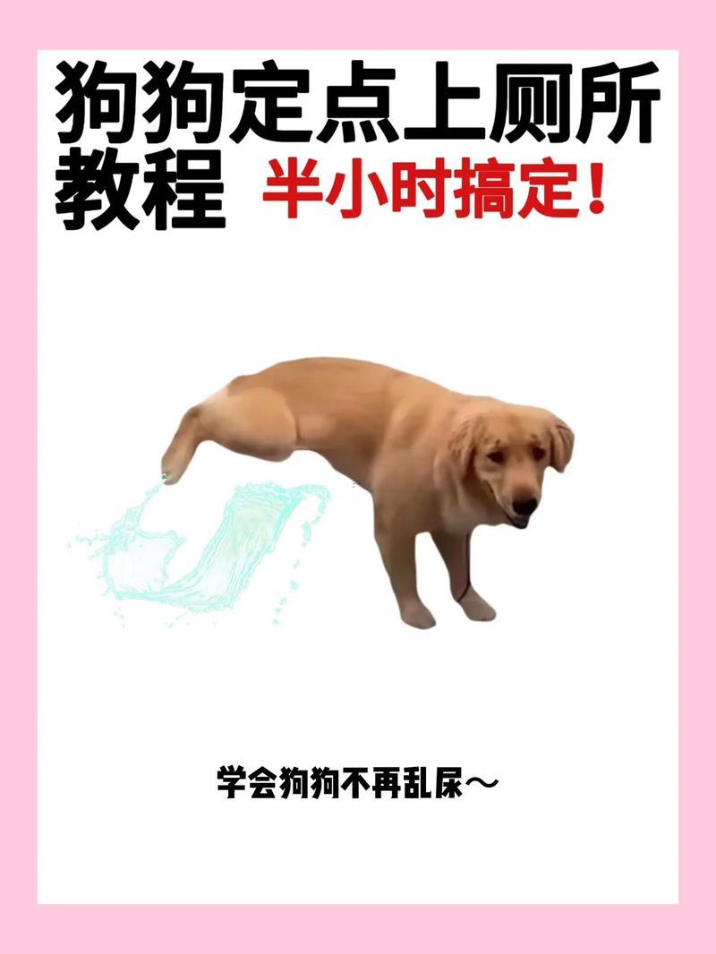 做夢(mèng)拉屎